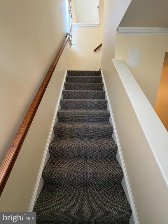 180 Schramm - Photo 15