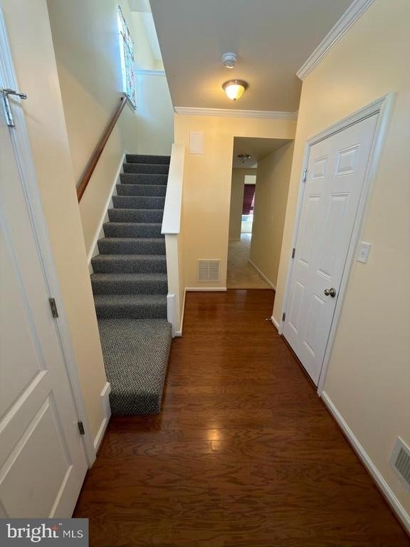180 Schramm - Photo 14