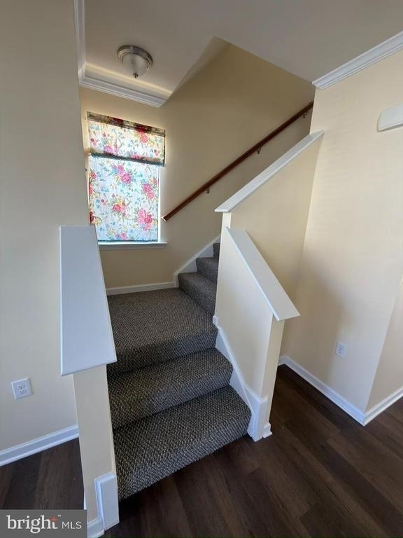 180 Schramm - Photo 25