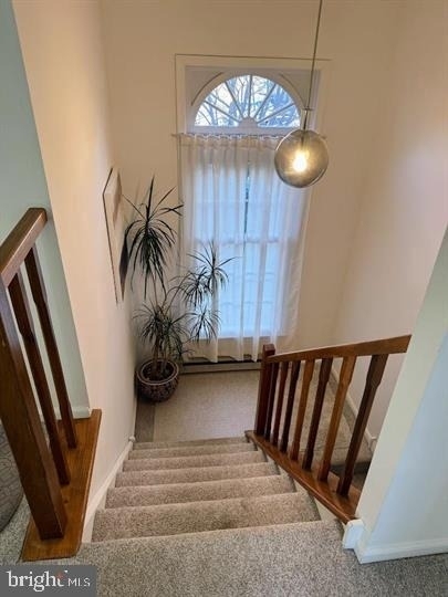 1659 Trellis Circle - Photo 8
