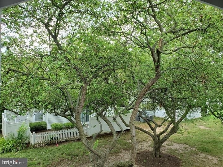 1659 Trellis Circle - Photo 30