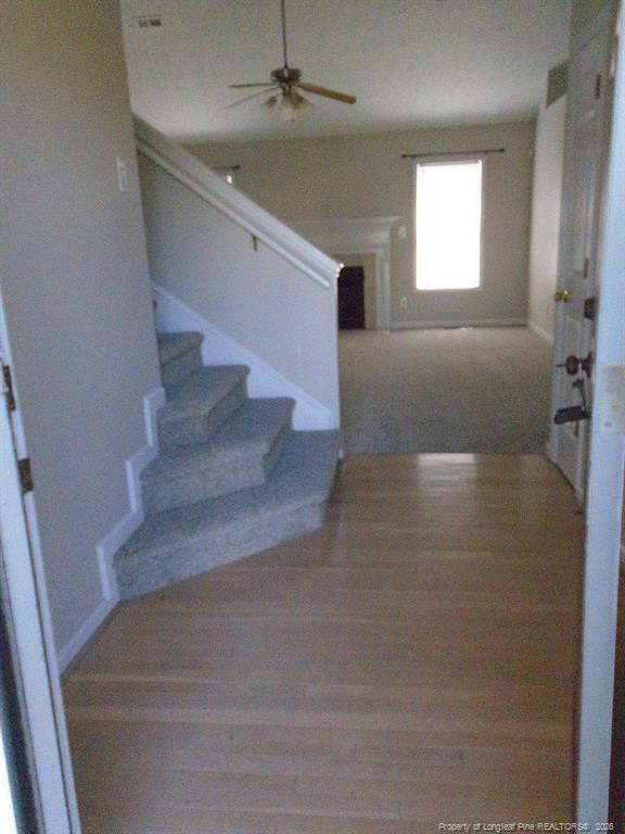 5619 Walking Trail - Photo 3