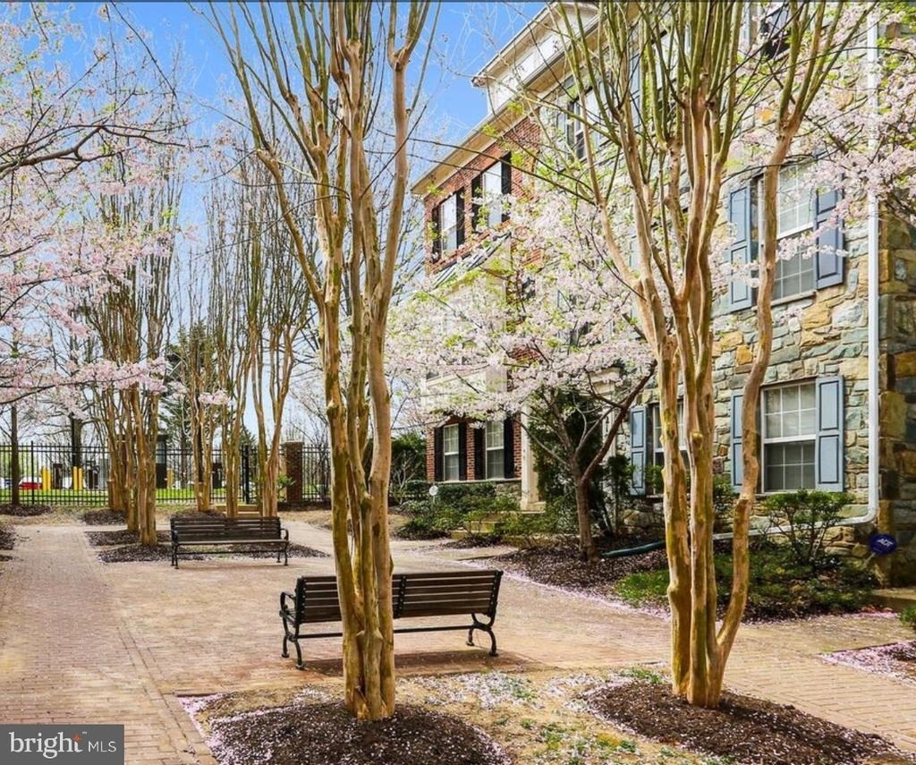 2116 Darcy Green Place - Photo 2