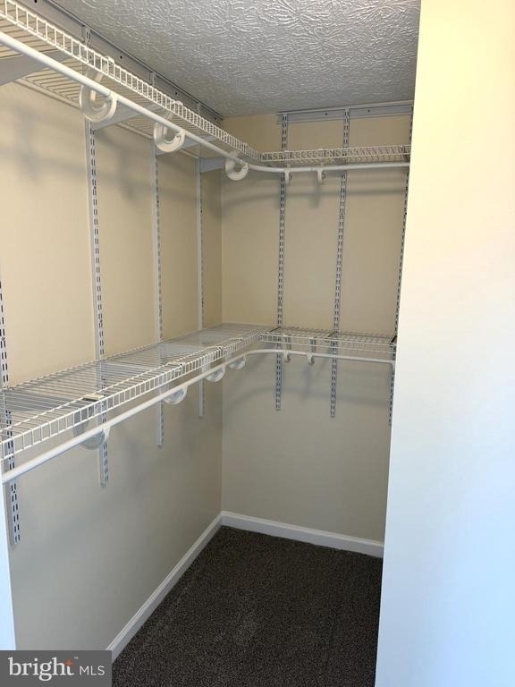 2419 Warm Spring Way - Photo 10