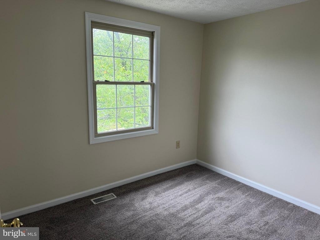 2419 Warm Spring Way - Photo 13