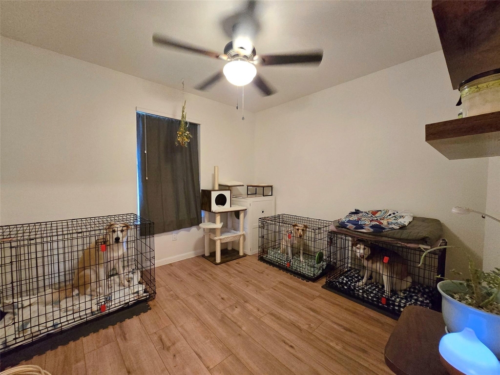 2303 Darnell Dr - Photo 9