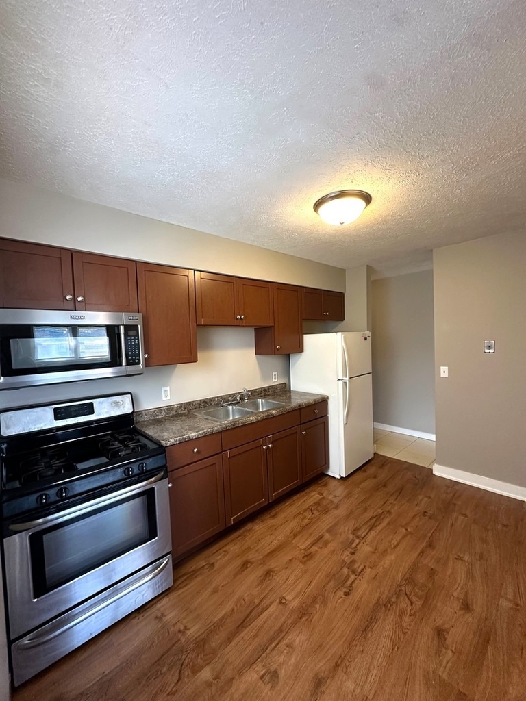 1007 Sheryl Lane - Photo 4