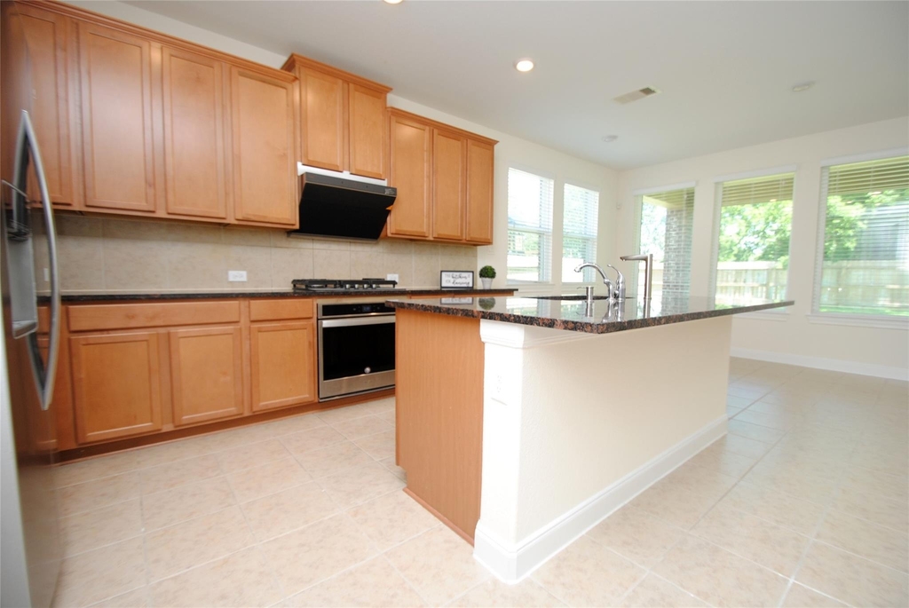 26806 Skylark Bluff Trail - Photo 13
