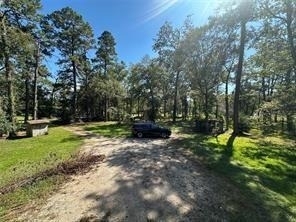 17901 Pine Street - Photo 7