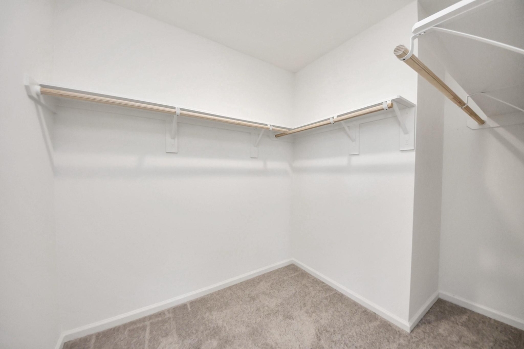 10303 Rose Mar Drive - Photo 21