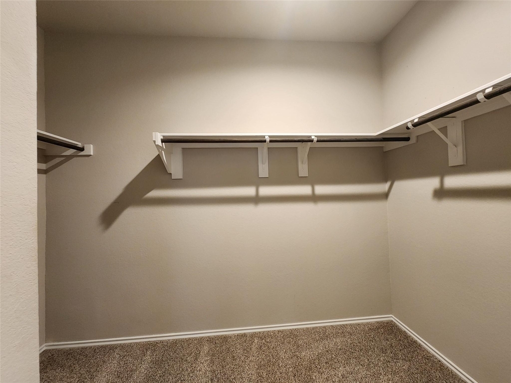14719 Black Brush Manor - Photo 18
