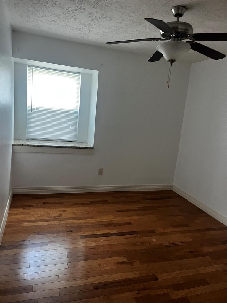 12418 Plumbrook Drive - Photo 13