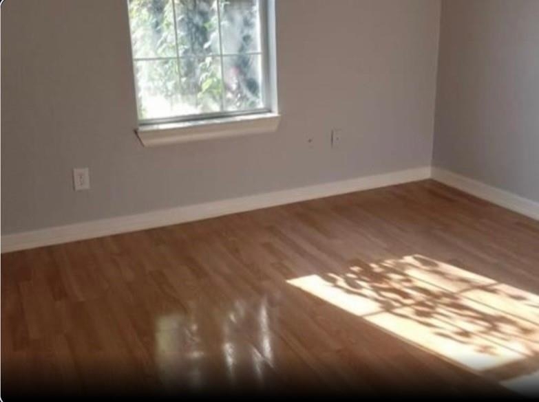 205 Hafer Street - Photo 4