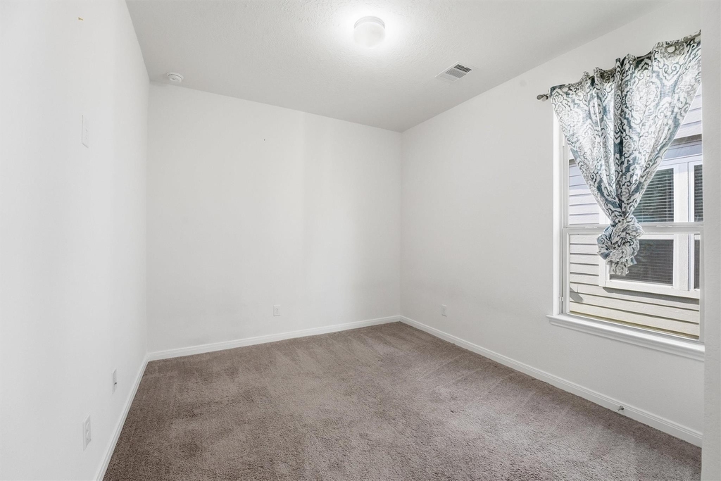 4915 Gazelle Leap Lane - Photo 2