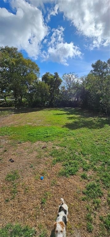 133 Lucie Avenue - Photo 9