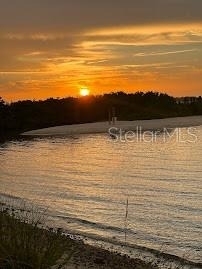 1008 Apollo Beach Boulevard - Photo 36