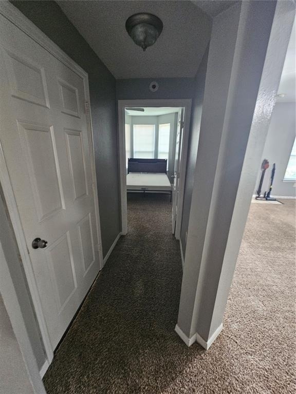 1101 Vintage Village Lane - Photo 1