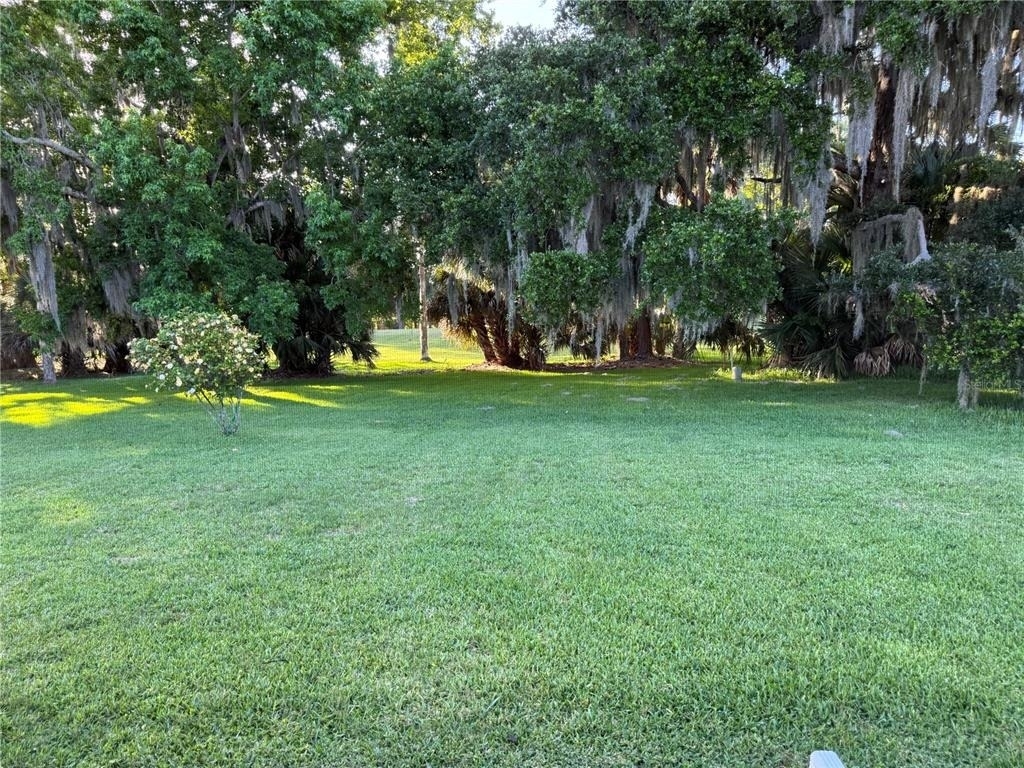 16 Courtney Place - Photo 48