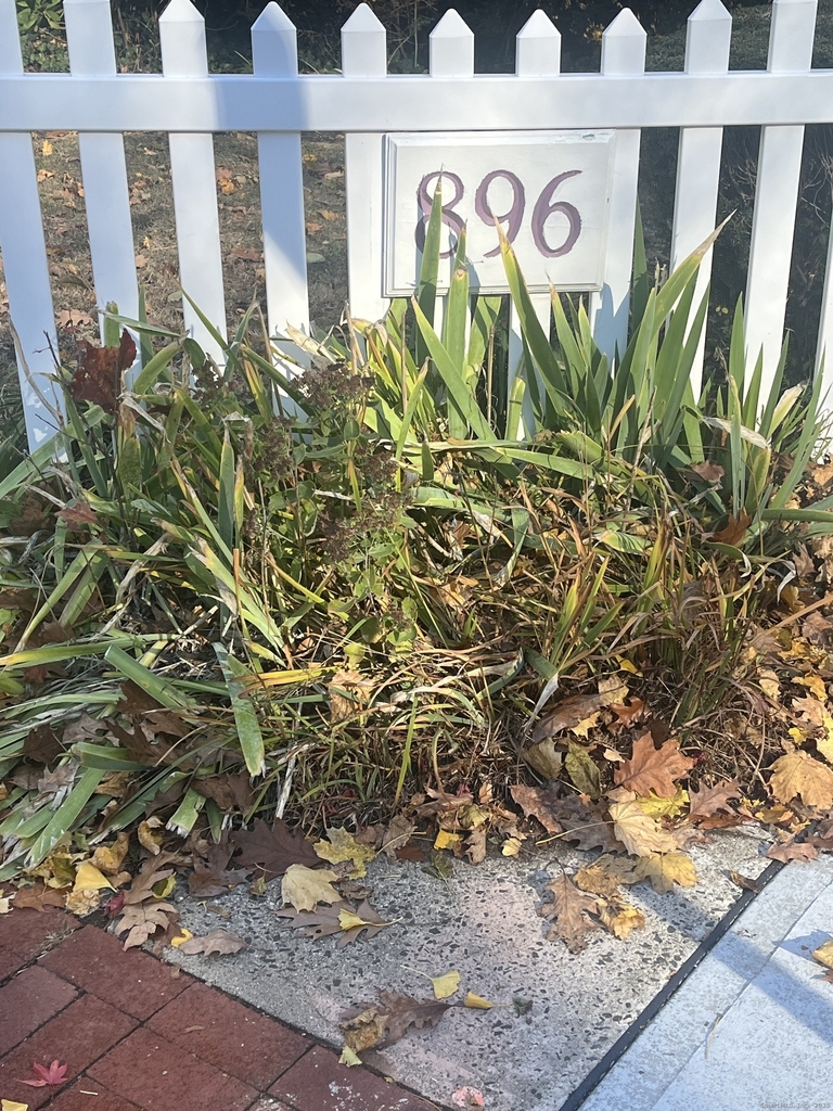 896 Quinnipiac Avenue - Photo 37