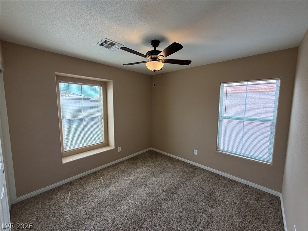 6657 Colorado Spruce Street - Photo 16