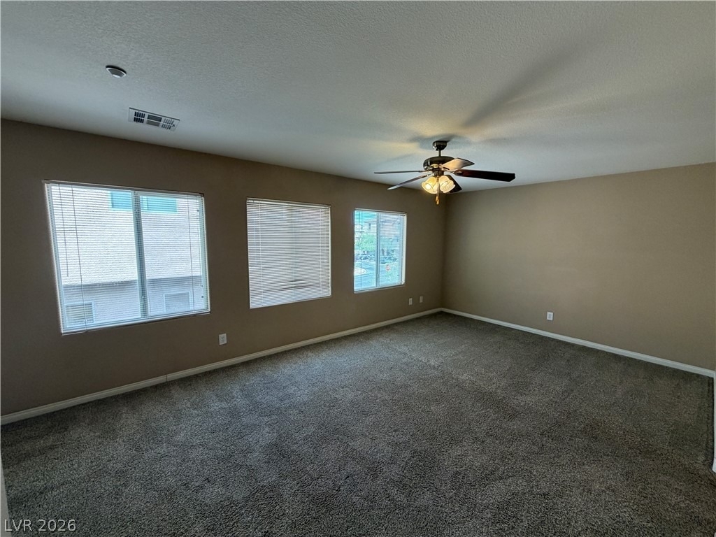 6657 Colorado Spruce Street - Photo 9