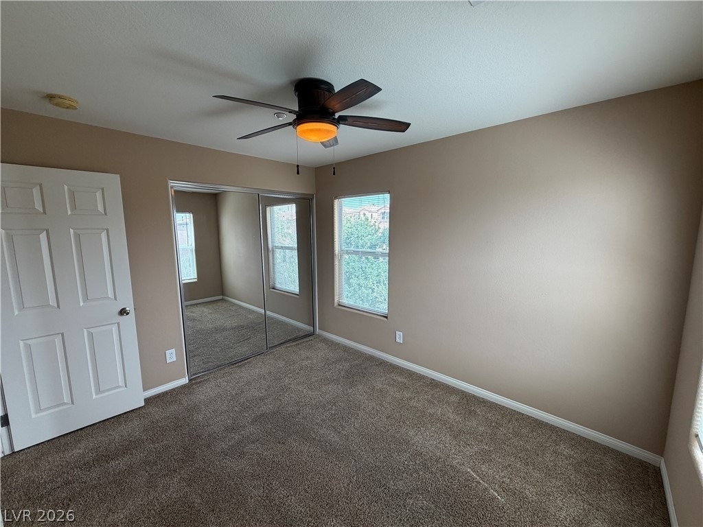 6657 Colorado Spruce Street - Photo 15