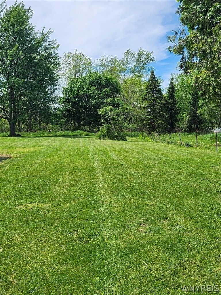 5834 S Transit Road - Photo 13
