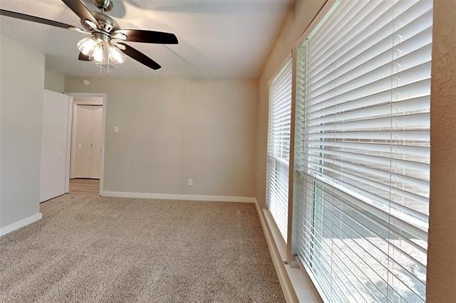 247 Stallion Drive - Photo 9
