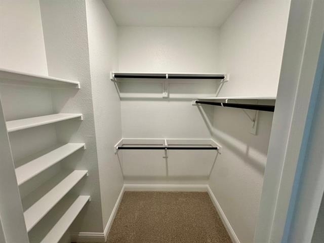 2930 Eleanor Drive - Photo 25