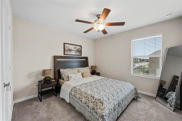 4001 Hackney Springs Lane - Photo 19