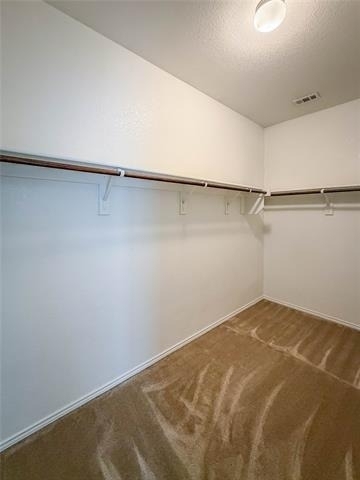 2357 Bernese Lane - Photo 9