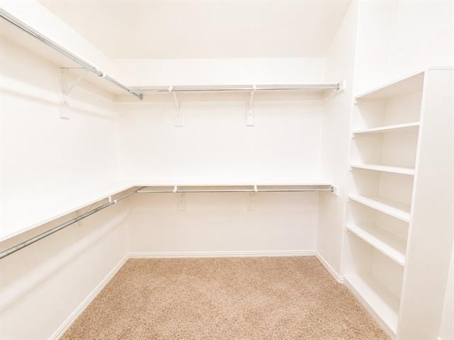 1033 Lone Ivory Trail - Photo 20