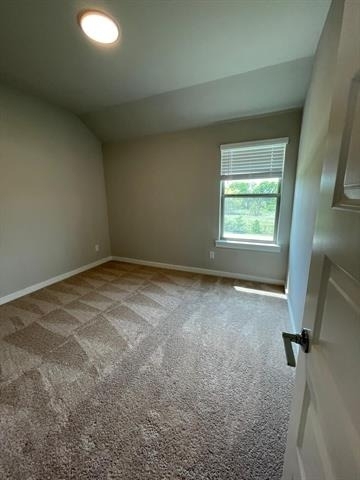 1101 Mahogany Drive - Photo 20