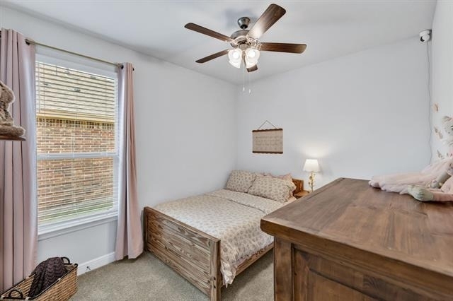 120 Tanager Drive - Photo 19