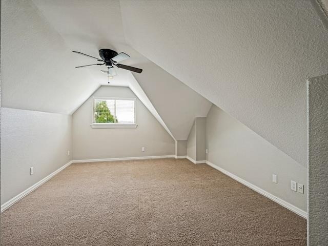 5975 Diamond Spur - Photo 28
