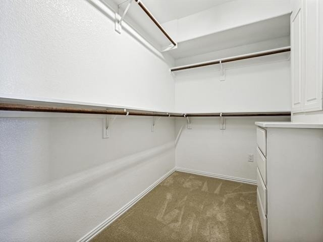 5975 Diamond Spur - Photo 20