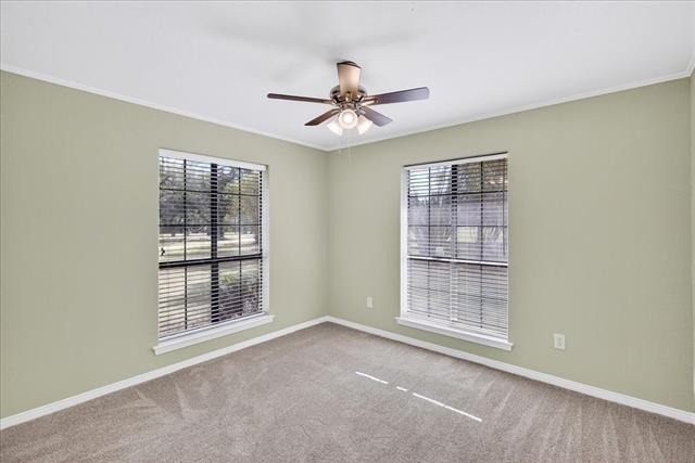 8009 Wood Lane - Photo 21