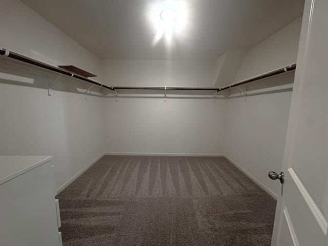 1405 Escondido Drive - Photo 16