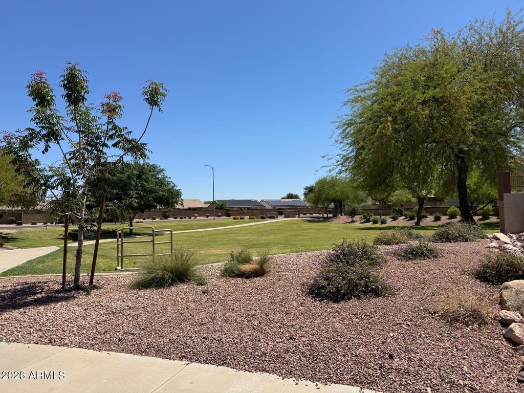 16523 W Saguaro Lane - Photo 16
