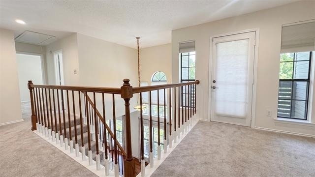 6606 Cliffwood Court - Photo 14