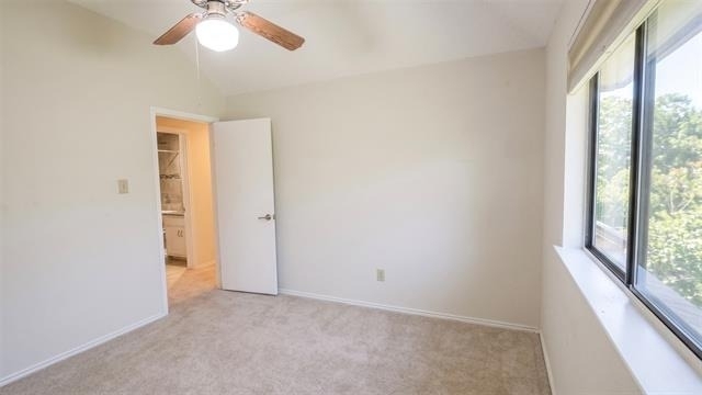 6606 Cliffwood Court - Photo 24