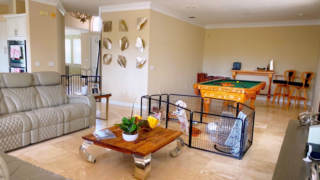 6489 Marbletree Lane - Photo 38