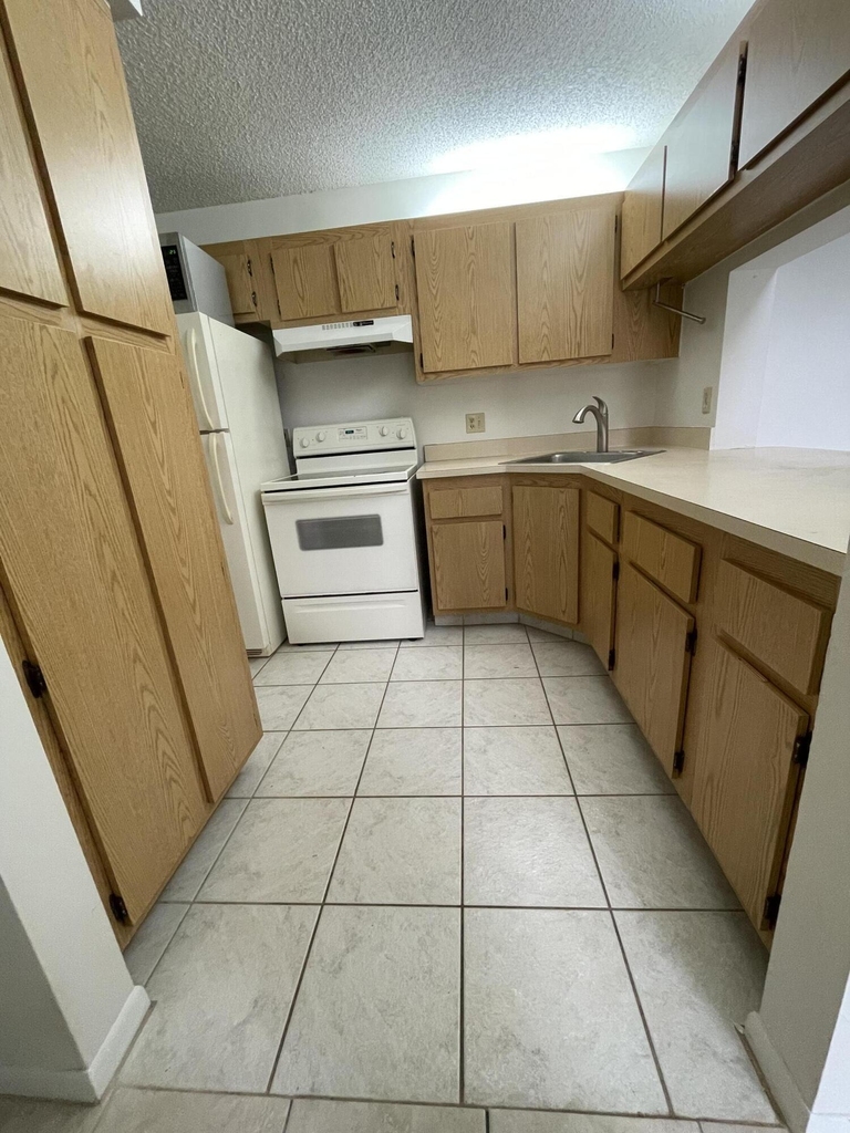 207 Foxtail Drive - Photo 6