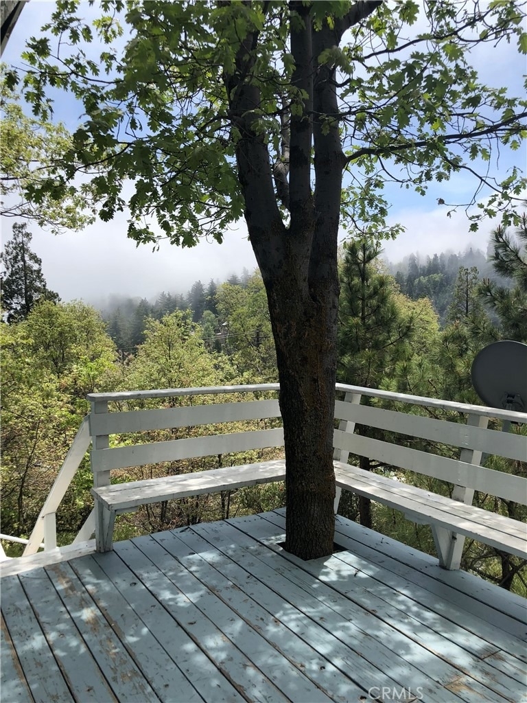 26196 Sky Ridge - Photo 12