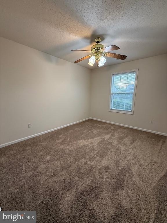 11707 Collinwood Court - Photo 9