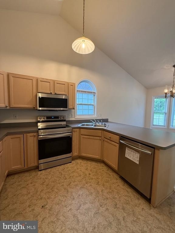11707 Collinwood Court - Photo 5
