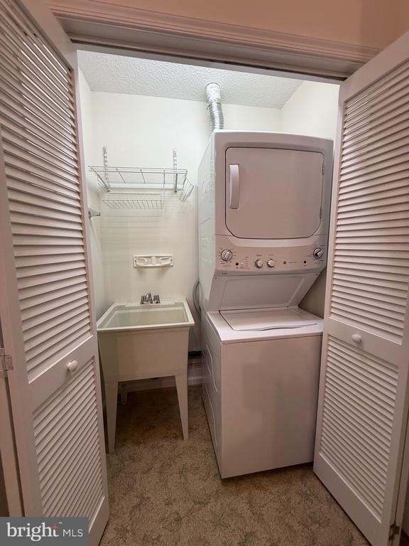 11707 Collinwood Court - Photo 6