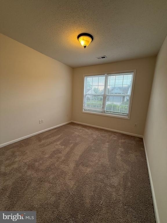 11707 Collinwood Court - Photo 7