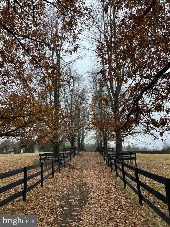 7112 Rock Hill Mill Road - Photo 1