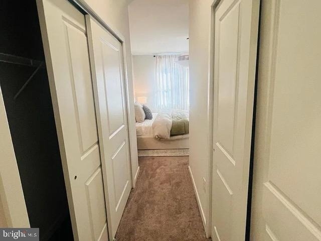 3 Ford Street - Photo 21
